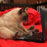 YouTube[Даниил Грузинов] Заработок на зарубежном YouTube (2023)