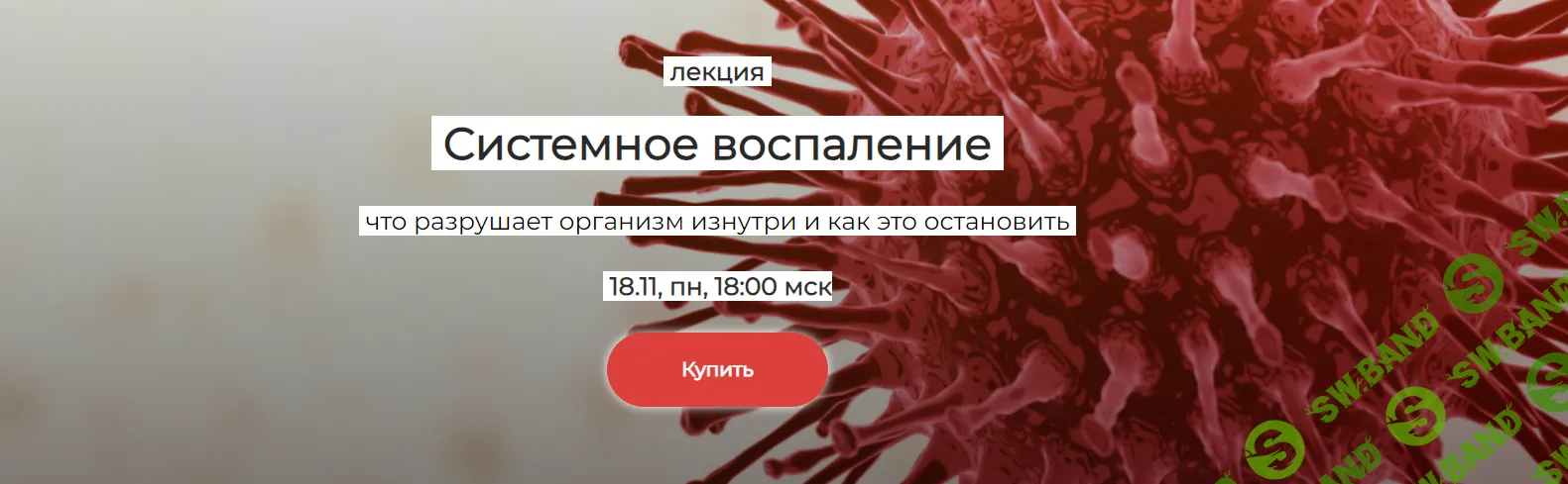 [Humberto 2.0] Системное воспаление - что разрушает организм изнутри и как это остановить (2024)