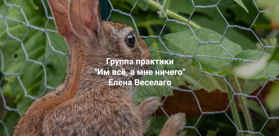 [Елена Веселаго] [Институт Открытого Поля] Им всё, а мне ничего (2024)