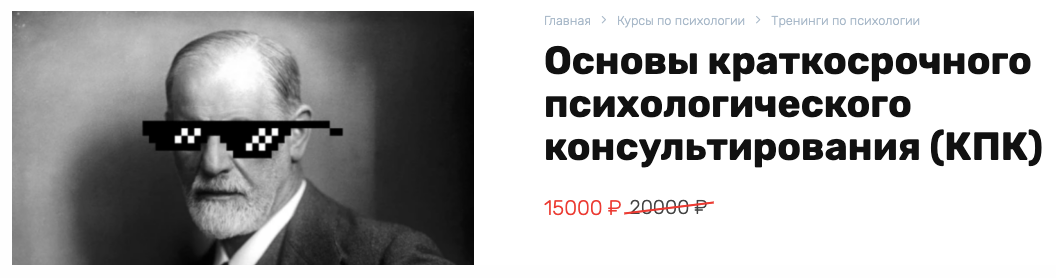 [Василий Смирнов] [КПК] Основы краткосрочного психологического консультирования (2024)