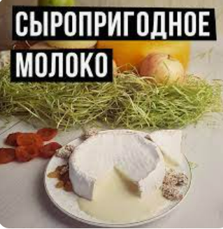 [Екатерина Кокоченко] Сыропригодное молок: основные показатели, требования к условиям получения (2023)